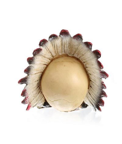 Crâne Tête de Mort Chef indien-Calaveras